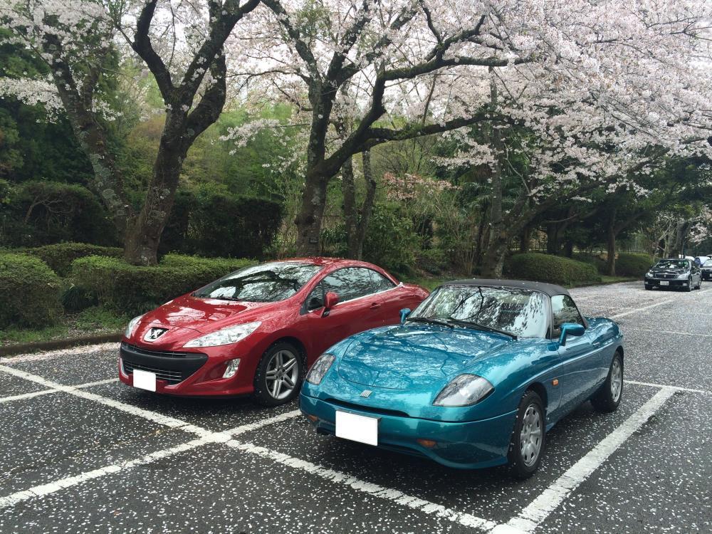 IMG_3124 - コピー.JPG